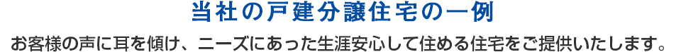 当社の戸建分譲住宅の一例